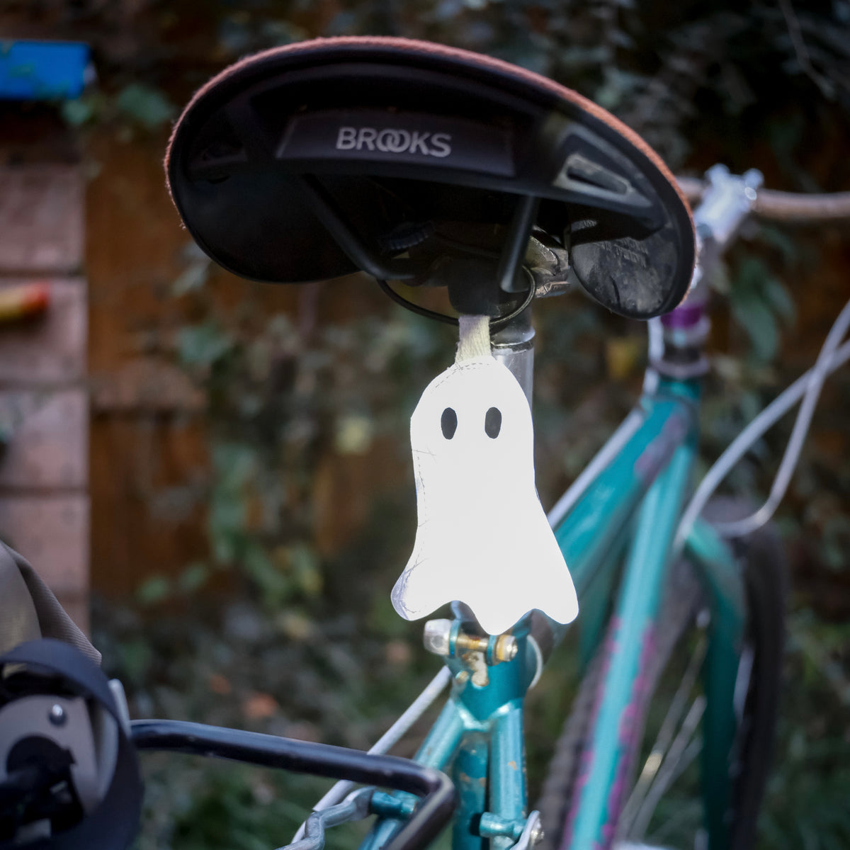 Steve The Ghost